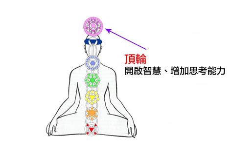 頂輪位置|頂輪｜位置、開啟徵兆、 失衡及過度活躍特